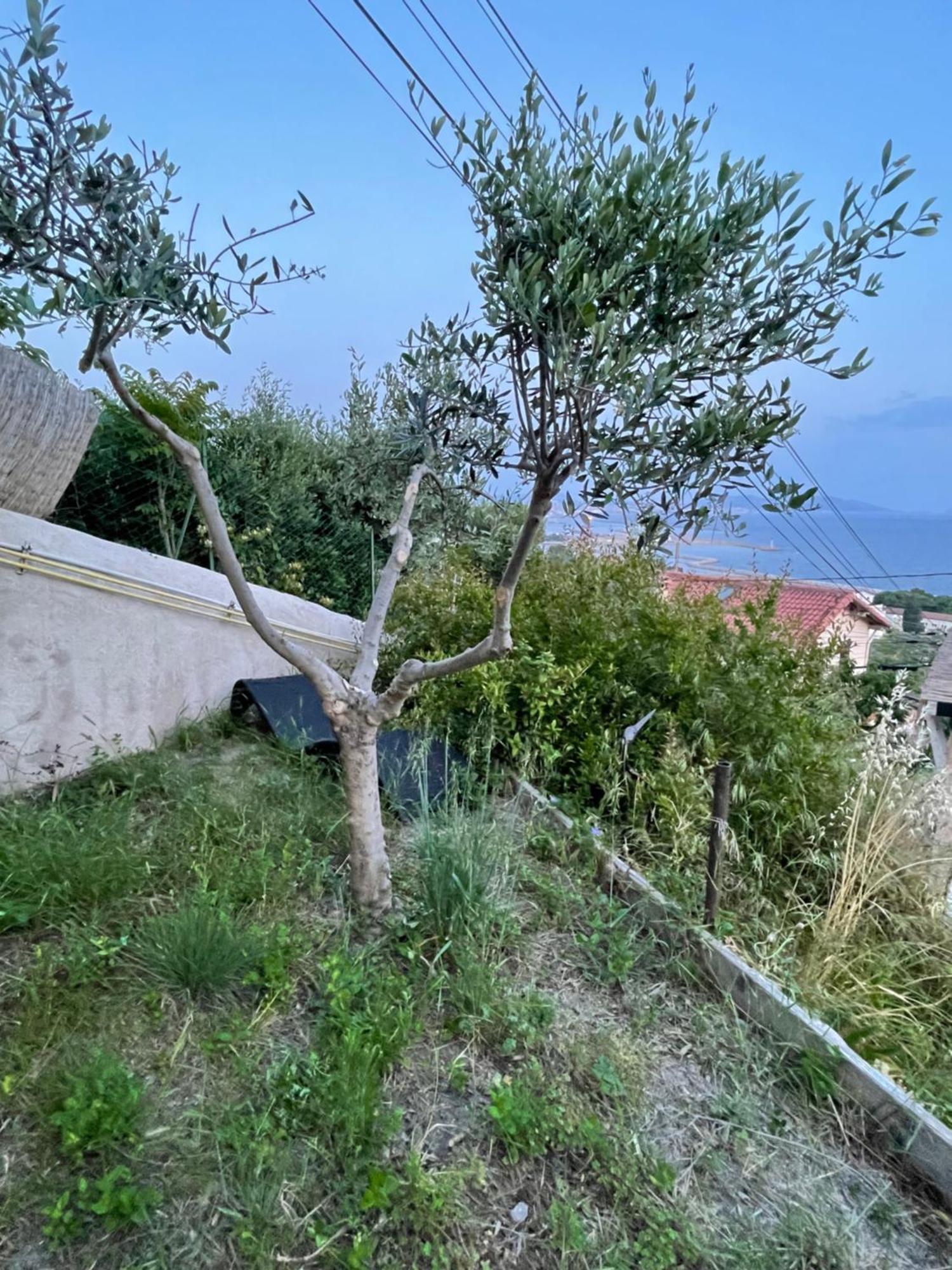 Magnifique Vue Sur La Mer ... Μασσαλία Εξωτερικό φωτογραφία